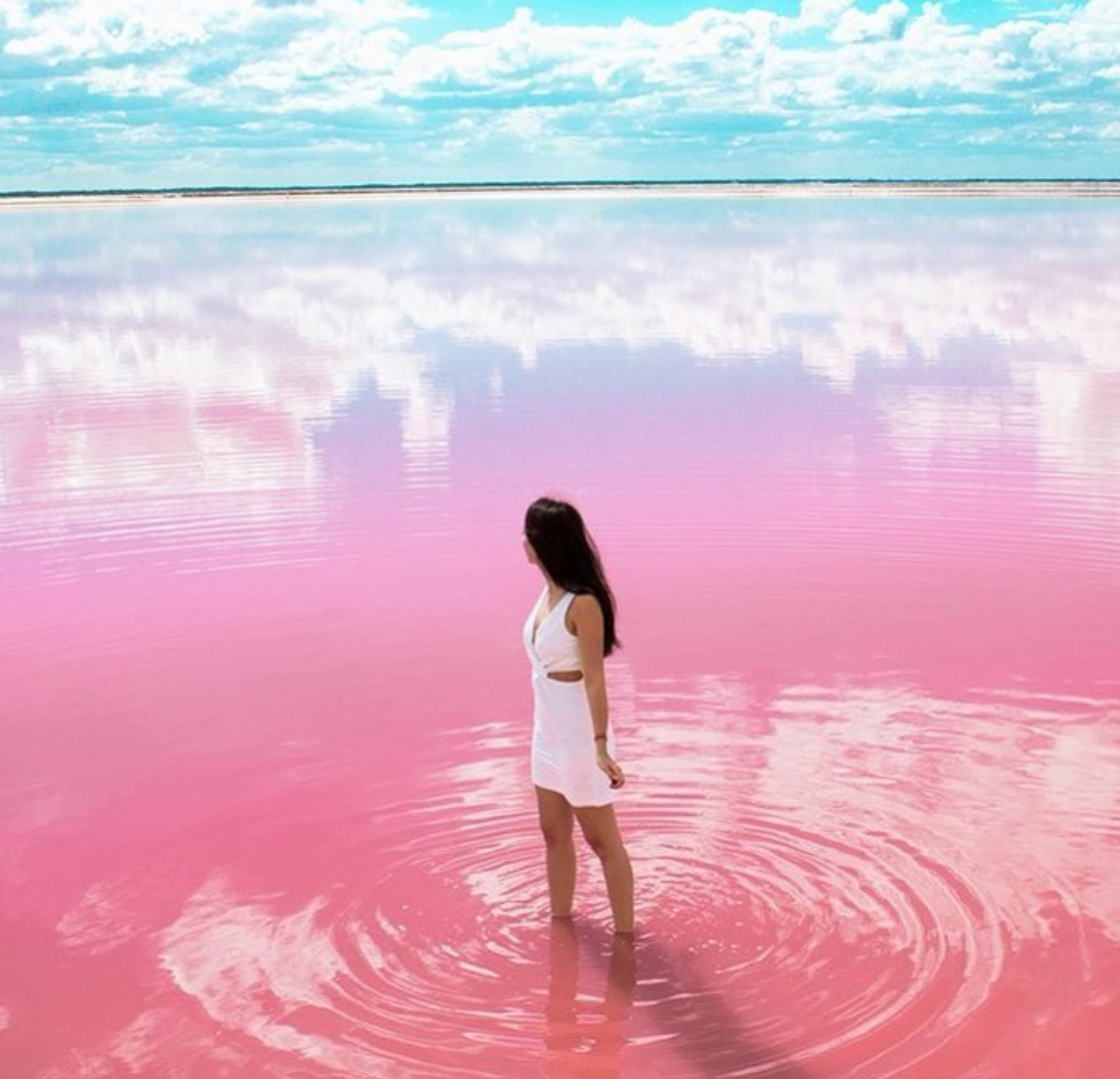 Coloradas and Rio Lagartos